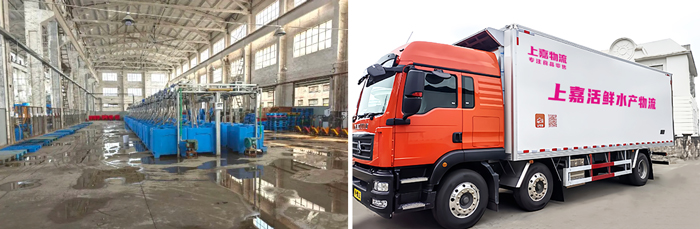 优德88物流 专注食品零售